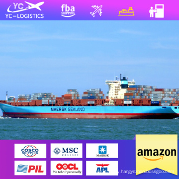 Fast sea ddp shipping from China to Dubai UAE Amazon professional forwarding agent